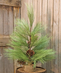Long Needle Pine Tree, 30" Burlap Base